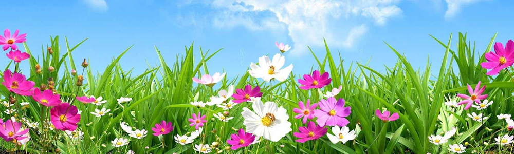 ODSTRAŇOVÁNÍ ZÁPACHŮ